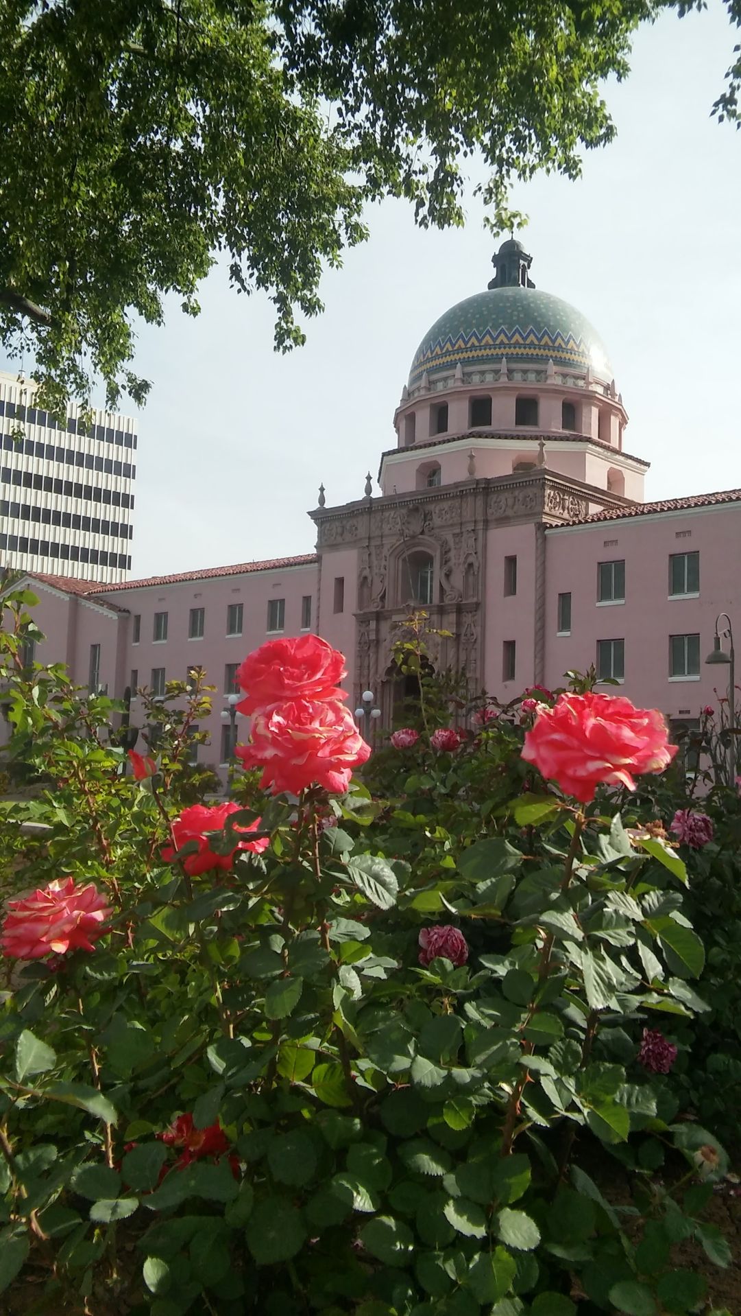 20160405_082619_HDR.jpg